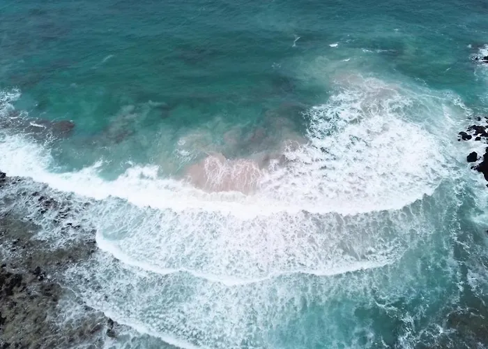 公寓 Sunset&suite Mimosas