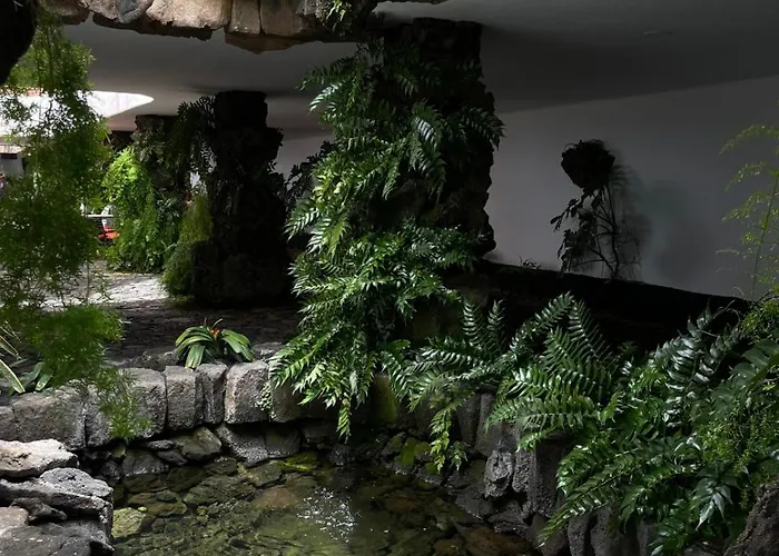 Sunset&suite Mimosas *